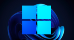 Terraria for Windows 11